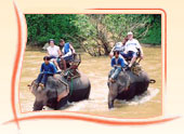 Adventure Tours