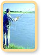 Angling Tours