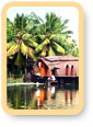 Kerala backwater
