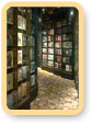 Museum Tours