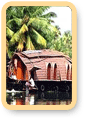 backwater Tours