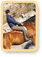 Winter Sports Tours