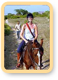 Horse Safari