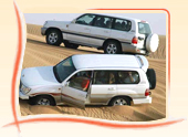 India Safari Tours