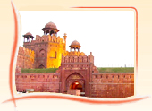 Special Interest Tours