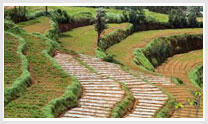 South Indian Odyssey Tours