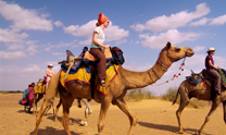 Rajasthan Tour