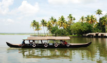 Discover Kerala
