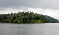 Kerala Curry and Culture Tour