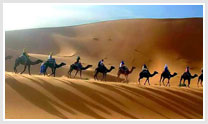 Rajasthan Tour
