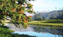 Romantic Kerala Tour