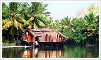 The Land Of Backwaters Exotic Kerala