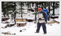 Trekking in Himalayas