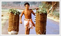 Tribal Tour Of Orissa