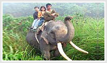 Wildlife Tour of East India