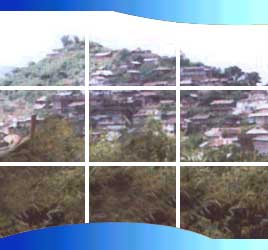 Tourism in Nagaland India, Nagaland India Tourism