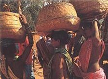 Tribal Culture in Bastar
