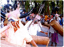 Tribal Culture in Chhattisgarh