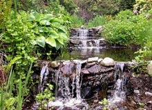 Gardens in Daman