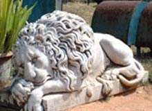 Museums in Diu 