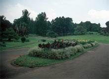 Gardens in Surat