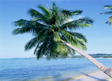 Tourist Attractions in Surat