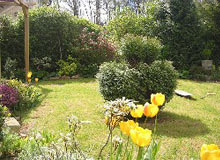 Gardens in Vadodara