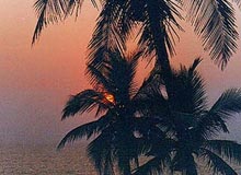 Nethrani Island Beach in Karnataka
