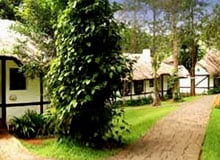 Tours to Coorg