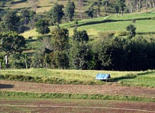 Chikmagalur