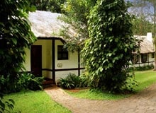 Coorg Hill Station