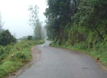 Kemmangundi Hill Station