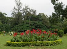 Cubbon's Park and Museum in Bangalore