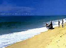 Tourist Attractions in Mararikulam