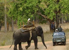 Bamni Dadar Kanha
