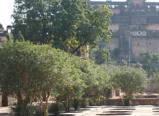 Lakes and Gardens in Orchha