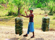 Baisipalli Wildlife Sanctuary Orissa