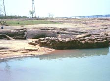 Brahmani River Orissa