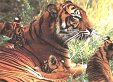 Hadagarh Wildlife Sanctuary Orissa