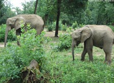 Karlapat Wildlife Sanctuary