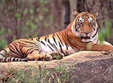 Khalasuni Wildlife Sanctuary