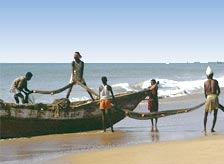 Beaches in Puri