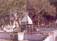 Bhartrihari Temple