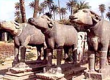 Monuments in Mount Abu,Museums in Mount Abu