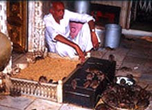 Bazaars in Bikaner