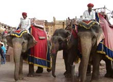 How to Reach Jaipur, Rajasthan
