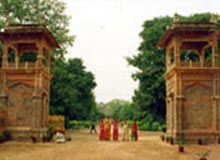 Gardens in Jodhpur