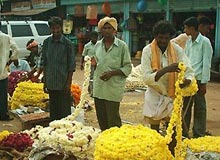 Bazaars in Kota