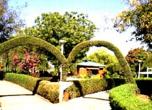 Chambal Gardens Kota