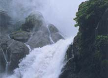 Dudhsagar Waterfall in Goa